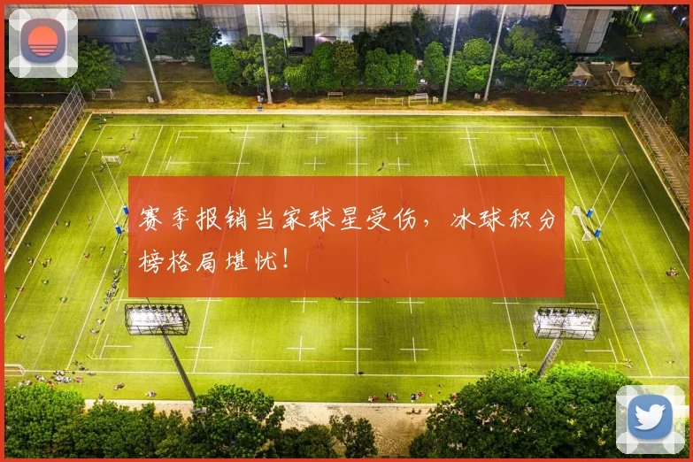 赛季报销当家球星受伤，冰球积分榜格局堪忧！