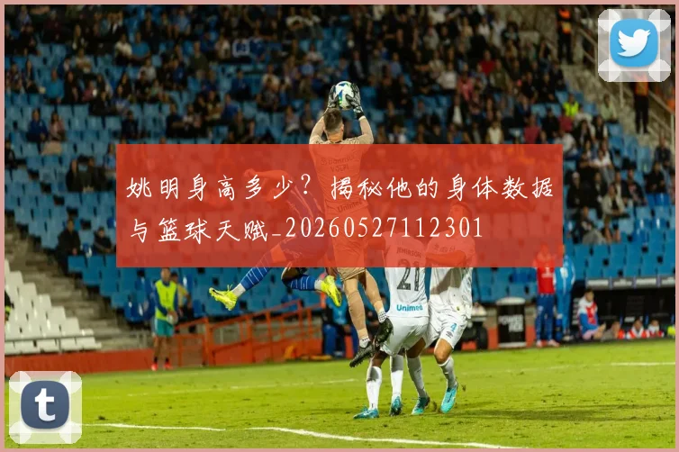 姚明身高多少?揭秘他的身体数据与篮球天赋_20260527112301
